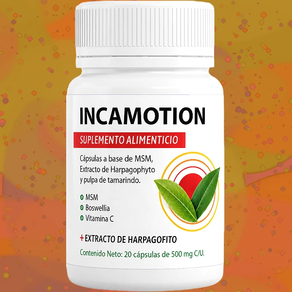 IncaMotion